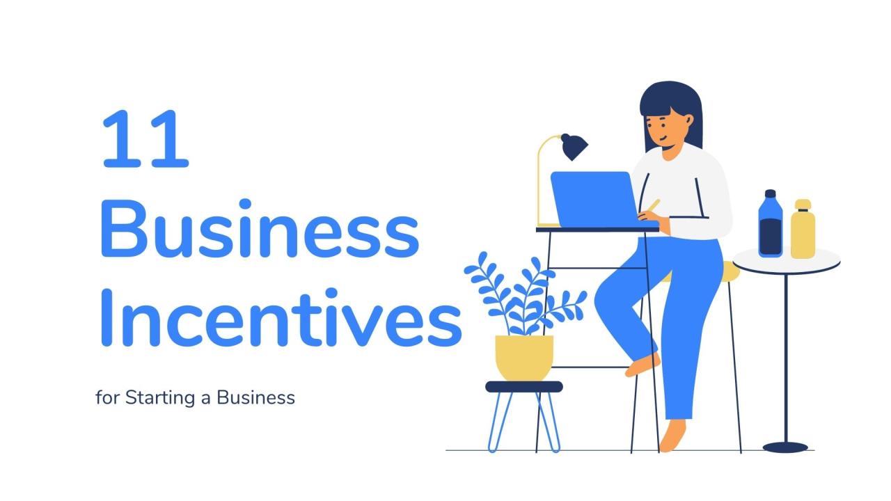 How to Take Advantage of Government Grants and Incentives for Business Opportunities