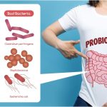 The Role of Probiotics in Gut Health Explained