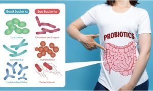 The Role of Probiotics in Gut Health Explained