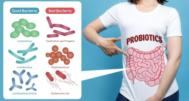 The Role of Probiotics in Gut Health Explained