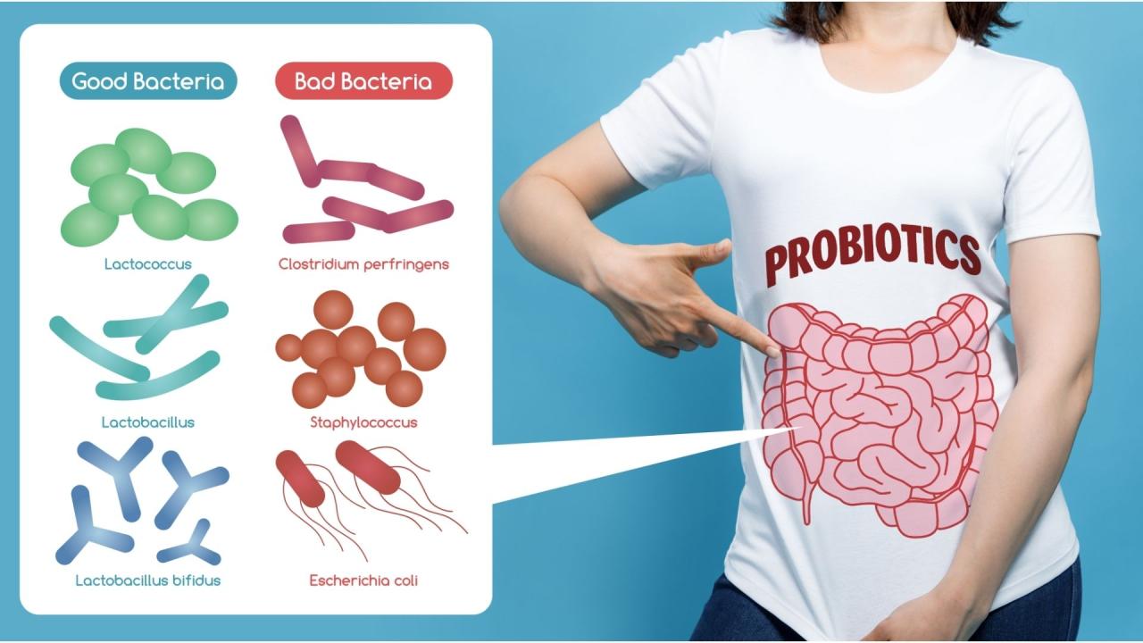 The Role of Probiotics in Gut Health Explained