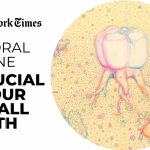 The Importance of Oral Health and Hygiene for Life