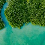 Climate and Environmental News Updates Today