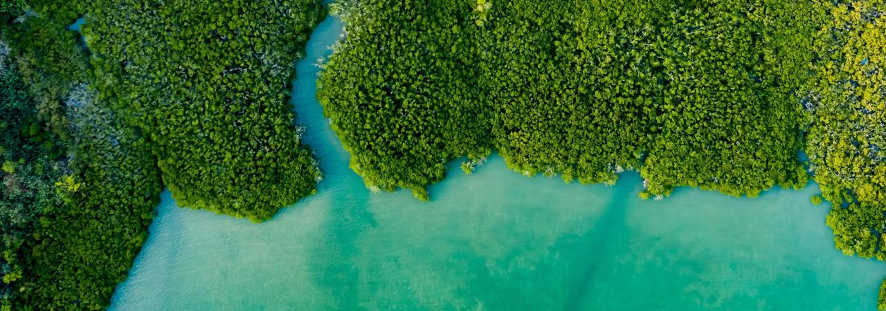Climate and Environmental News Updates Today