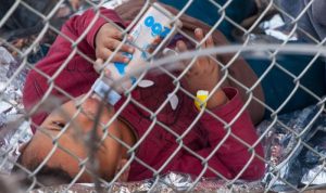 Immigration and Border Policy News Today Insights