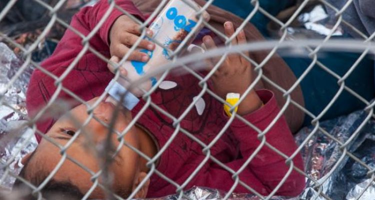 Immigration and Border Policy News Today Insights
