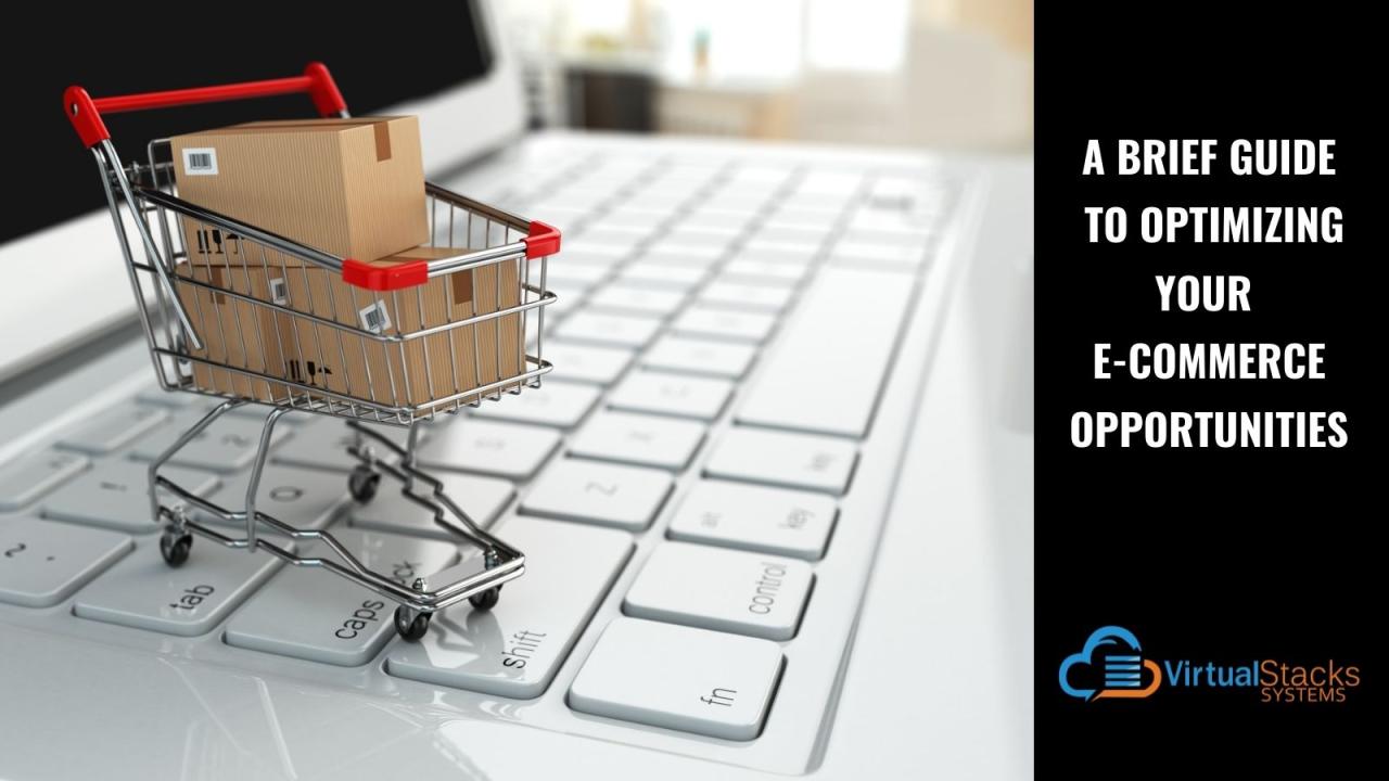 The Most Promising Business Opportunities in E-commerce