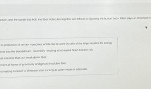 The Role of Fiber in Digestive Health Explained