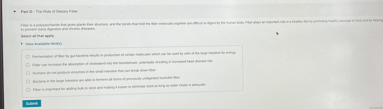 The Role of Fiber in Digestive Health
