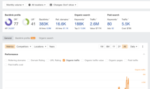 What Makes a Great SEO Consultant in Todays Market