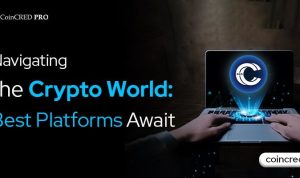 Popular Crypto Products and Platforms Worth Exploring