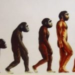 The Evolution of Home Goods Sales in the Post-Pandemic Market Redefining Consumer Habits