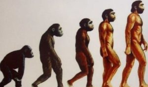 The Evolution of Home Goods Sales in the Post-Pandemic Market Redefining Consumer Habits