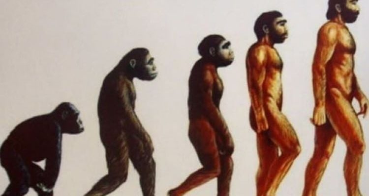 The Evolution of Home Goods Sales in the Post-Pandemic Market Redefining Consumer Habits