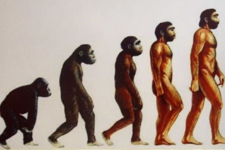 人類の進化の絵 | ココナラ The Evolution of Home Goods Sales in the Post-Pandemic Market