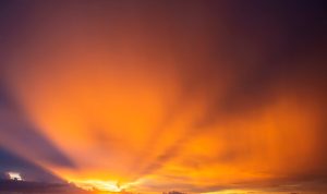 How Digital Marketing is Transforming the Insurance Sales Funnel