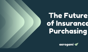 What Buyers Need to Know Before Purchasing Insurance Plans