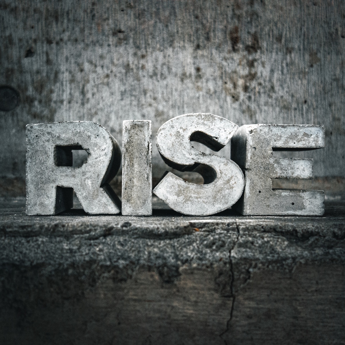 Rise Ukraine - Rise Ukraine added a new photo — at... The Rise of Eco-Friendly Decorative Products