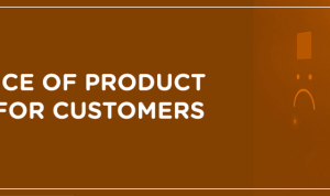 The Role of Product Reviews in Gadget Sales Unveiled