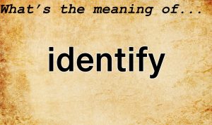 How to Identify and Market Emerging Business Niches
