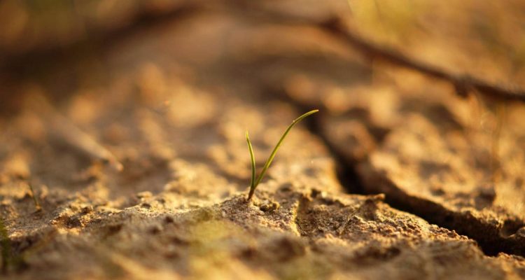 Growing BI Sales Through Strategic Demos and Free Trials