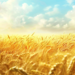 From Free Trial to Paid User Closing the Software Sales Loop