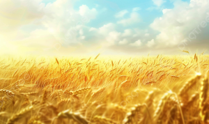 From Free Trial to Paid User Closing the Software Sales Loop
