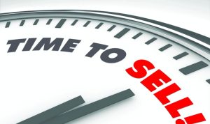 Selling Software as a Product vs a Service in Digital Markets