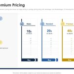Pricing Strategies for Premium and Budget Accessories