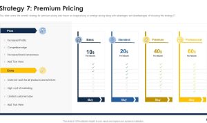 Pricing Strategies for Premium and Budget Accessories